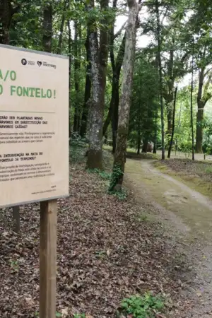 Mau tempo: Viseu encerra jardins até domingo